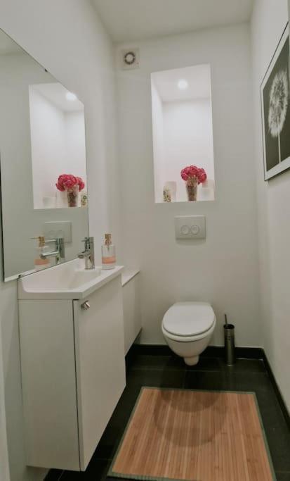 Le Cocon Du Midi - Cosy Appartement *